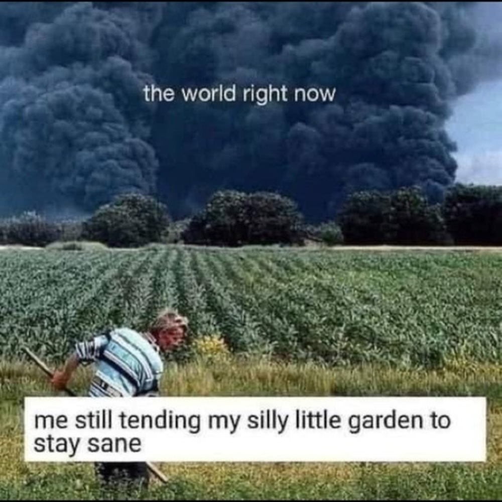 Reduce, Reuse, Recycle